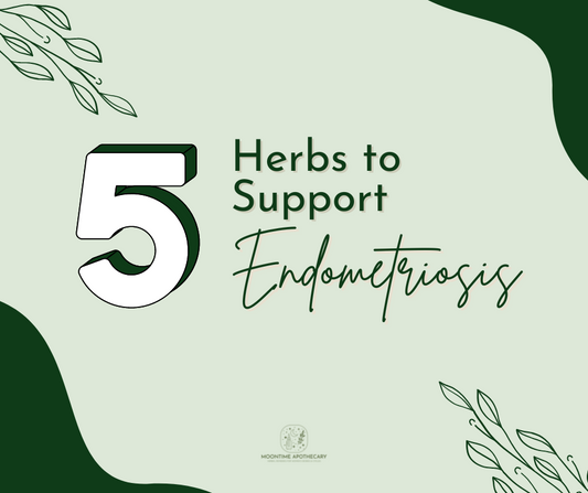 5 Herbs to Support Endometriosis