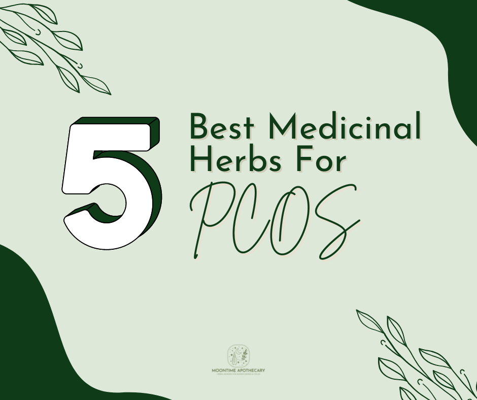 5 Best Medicinal Herbs for PCOS