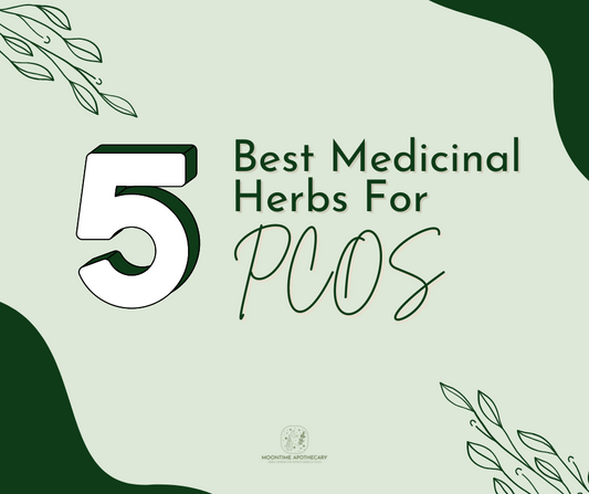 5 Best Medicinal Herbs for PCOS